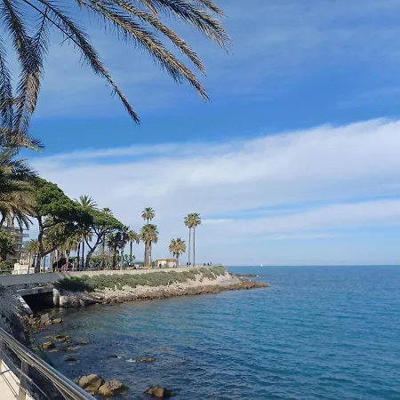 Juan Les Pins Tanit Le Gebal Climatise Vue Sur Piscine *
